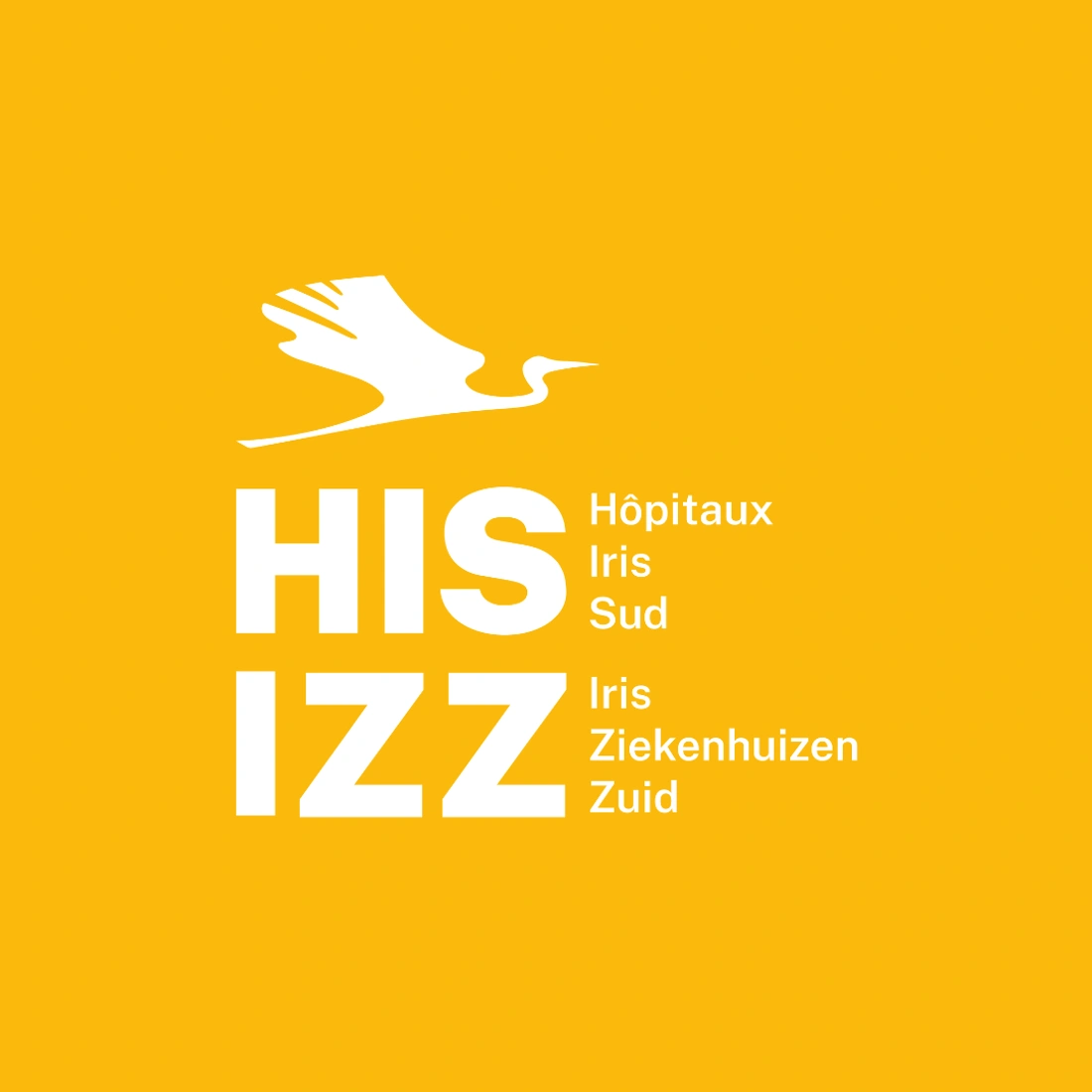 Logo - Hôpitaux Iris Sud