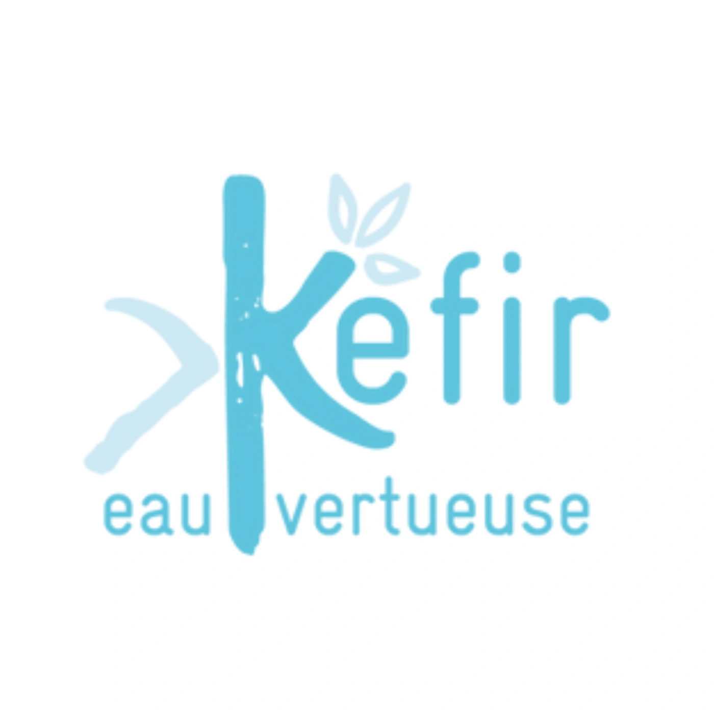 Logo de l'entreprise Kéfir Eau Vertueuse pour l'offre d'emploi Administratief medewerker